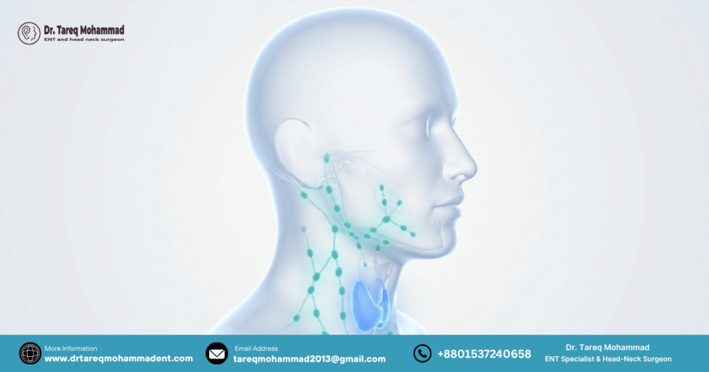 neck-lump-lymph-nodes-thyroid-location